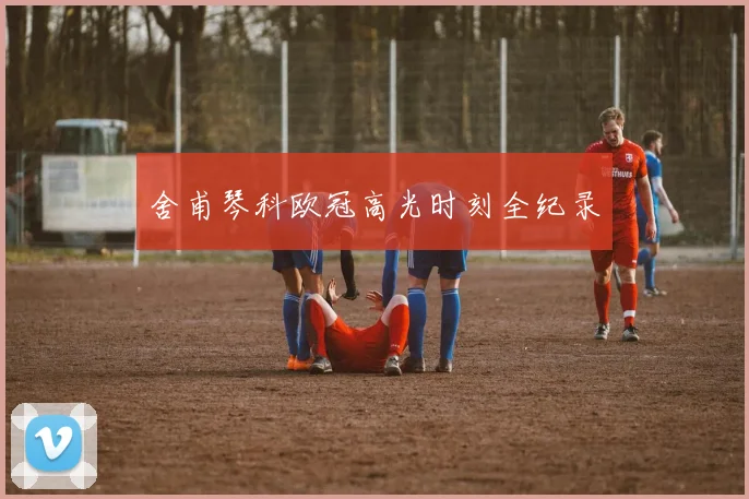 舍甫琴科欧冠高光时刻全纪录